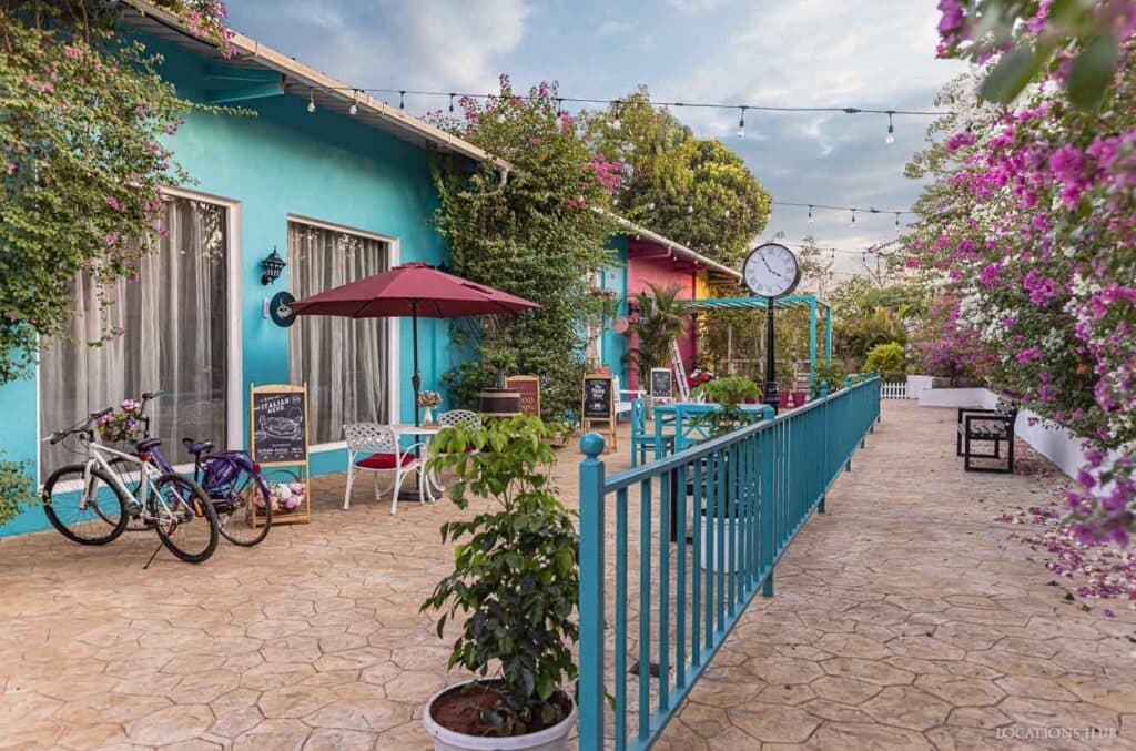 Frozen Flash Photography